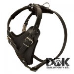 ‘Worthy Mighty Kobe’ Attack Training Leather Harness