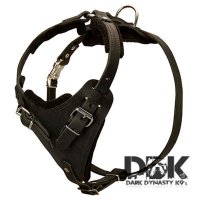 ddk9 gear
