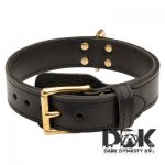 ‘The Enforcer’ Training 2 Ply Leather Dog Collar