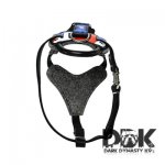 ‘I am General America’ Leather Dog Harness_5