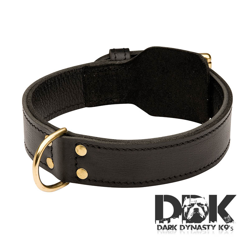 ‘The Enforcer’ Training 2 Ply Leather Dog Collar