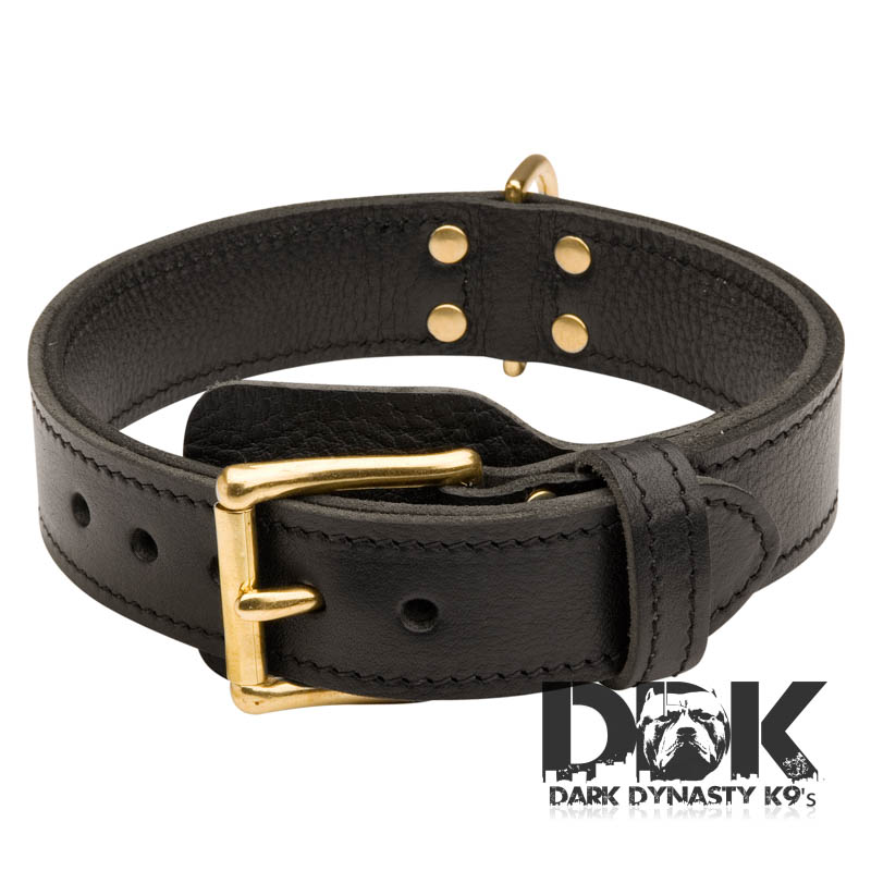 Pit Bull Gear™ Custom Leather Dog Collars & Harnesses, USA