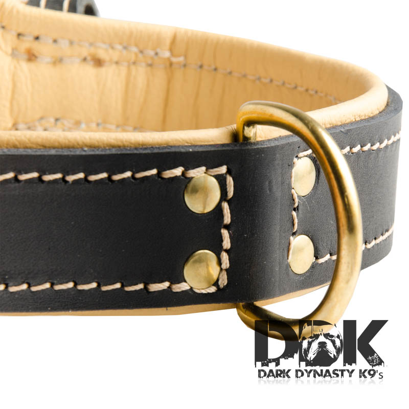 'Pride of Sossa' Nappa Padded Leather Dog Collar