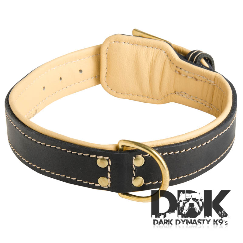 'Pride of Sossa' Nappa Padded Leather Dog Collar