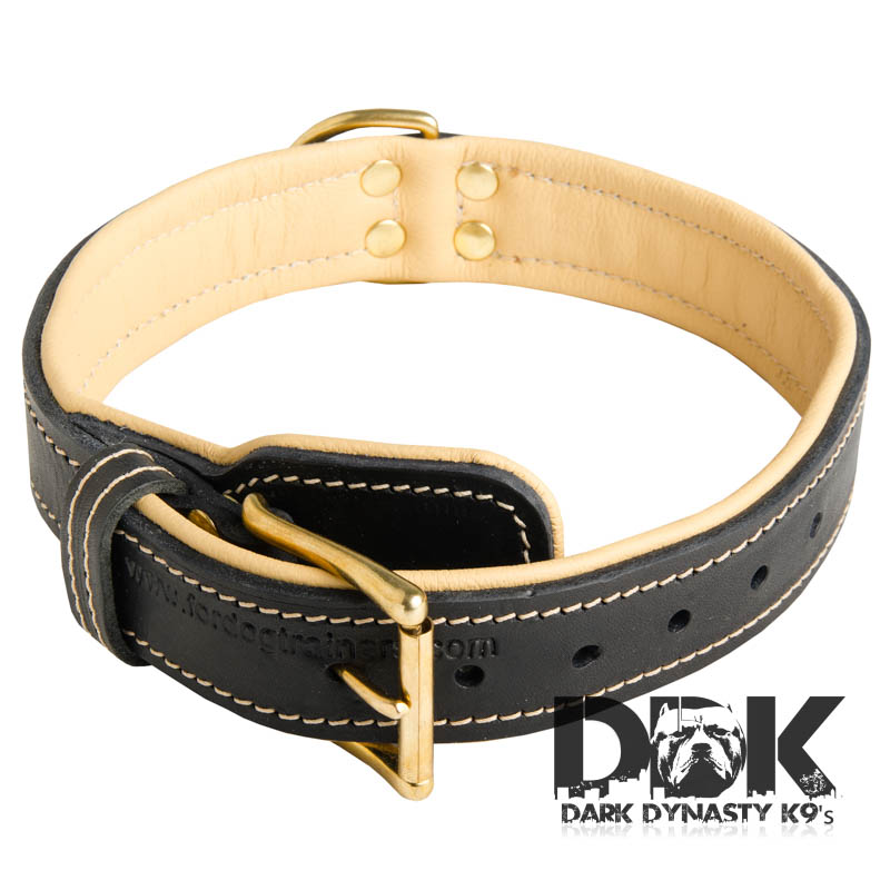 'Pride of Sossa' Nappa Padded Leather Dog Collar