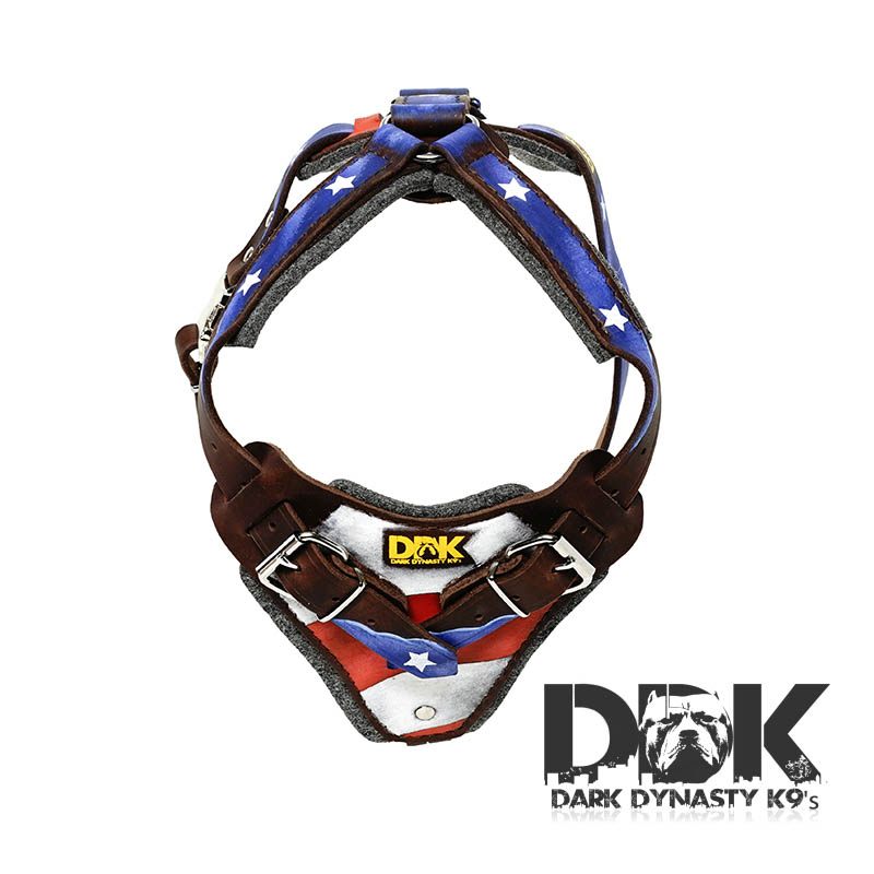 ‘I am General America’ Leather Dog Harness