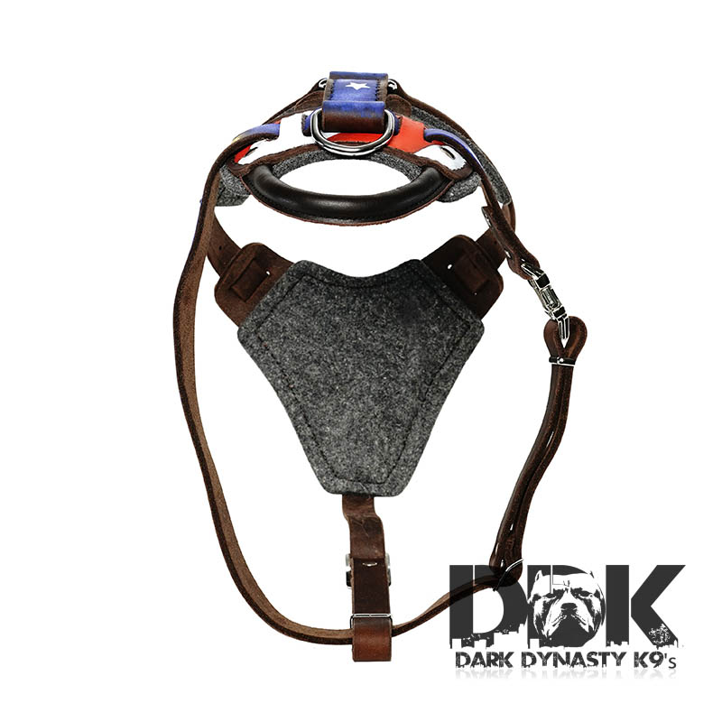 ‘I am General America’ Leather Dog Harness