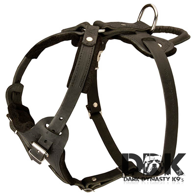‘Worthy Mighty Kobe’ Attack Training Leather Harness