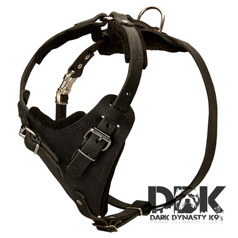 ‘Worthy Mighty Kobe’ Attack Training Leather Harness