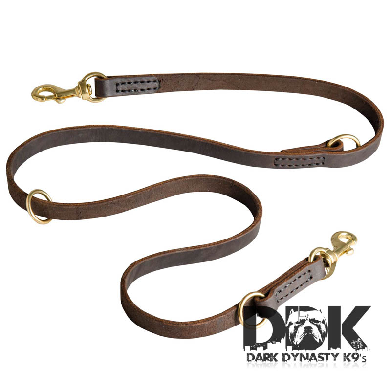 ‘Rise of Pitbulls’ Stitched Leather Dog Leash