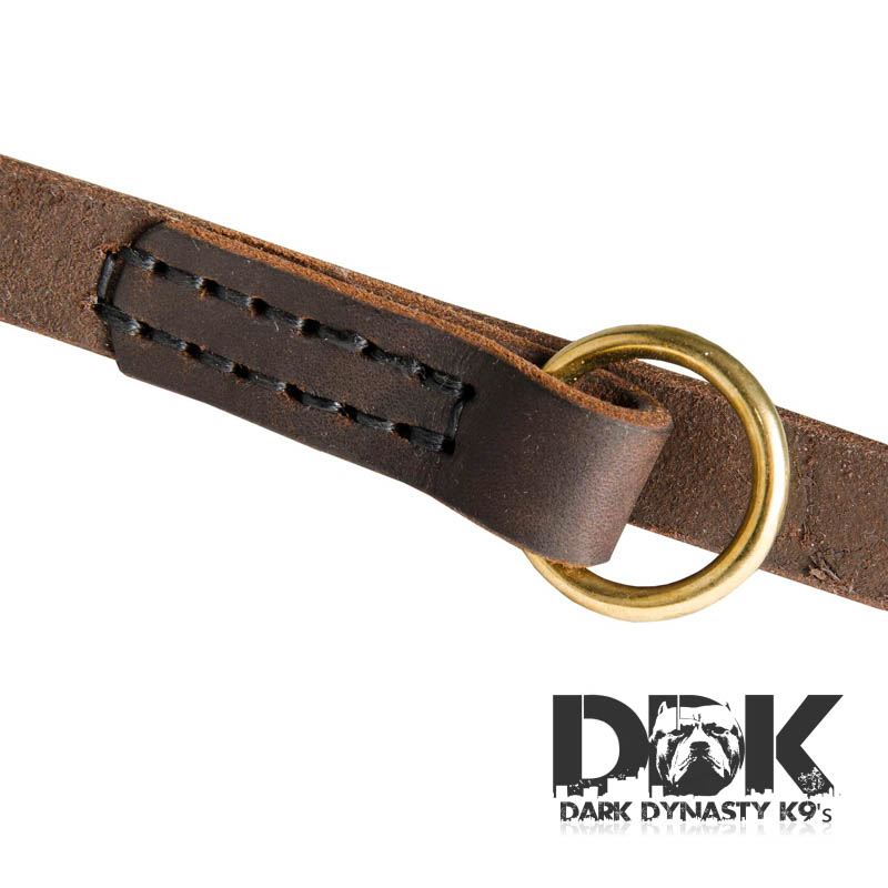 ‘Rise of Pitbulls’ Stitched Leather Dog Leash